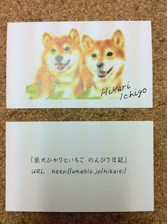 E381B2E3818BE38184E381A1E4B8A1E99DA2.JPG