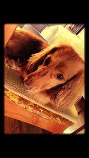 IMG_0630.png